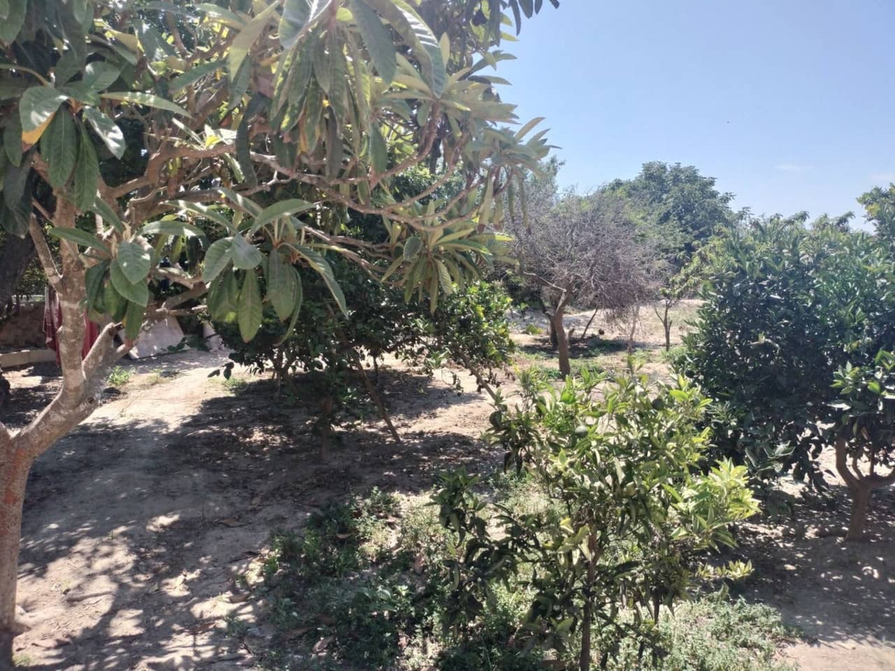 3 bedroom Villa for sale in Daya Vieja - € 220,000 (Ref: 9196115)