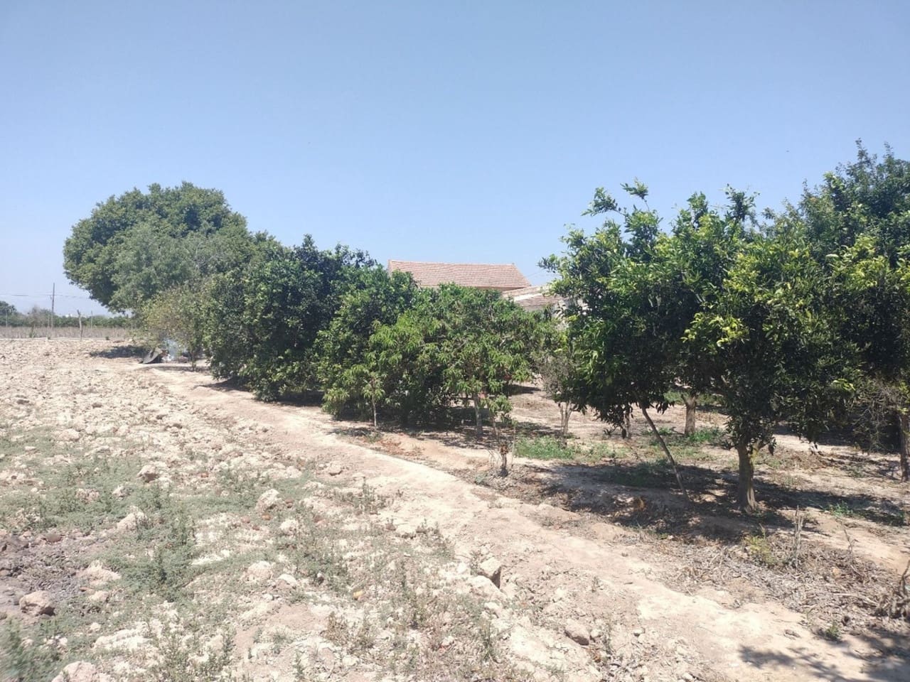 3 bedroom Villa for sale in Daya Vieja - € 220,000 (Ref: 9196115)