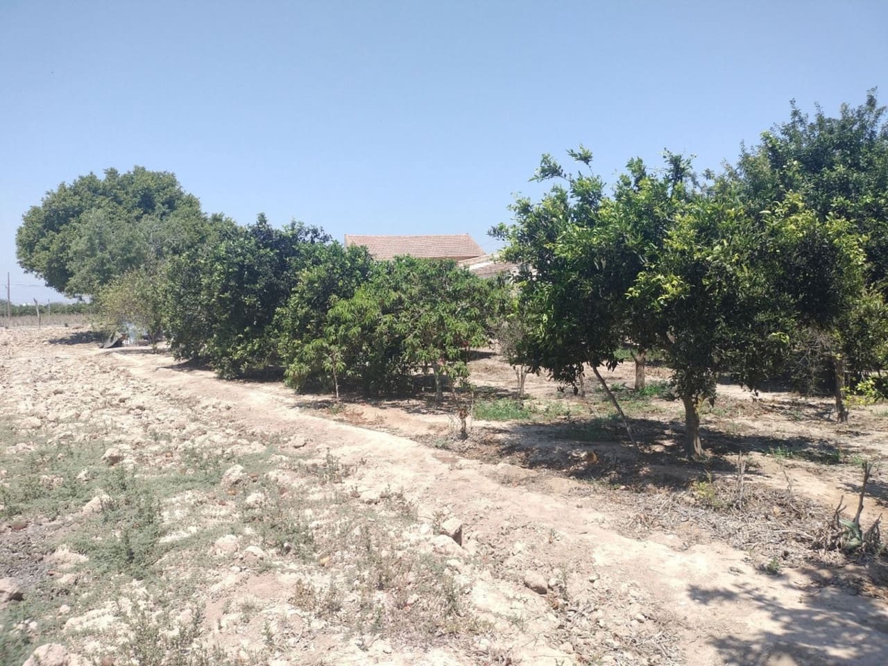 3 bedroom Villa for sale in Daya Vieja - € 220,000 (Ref: 9196115)