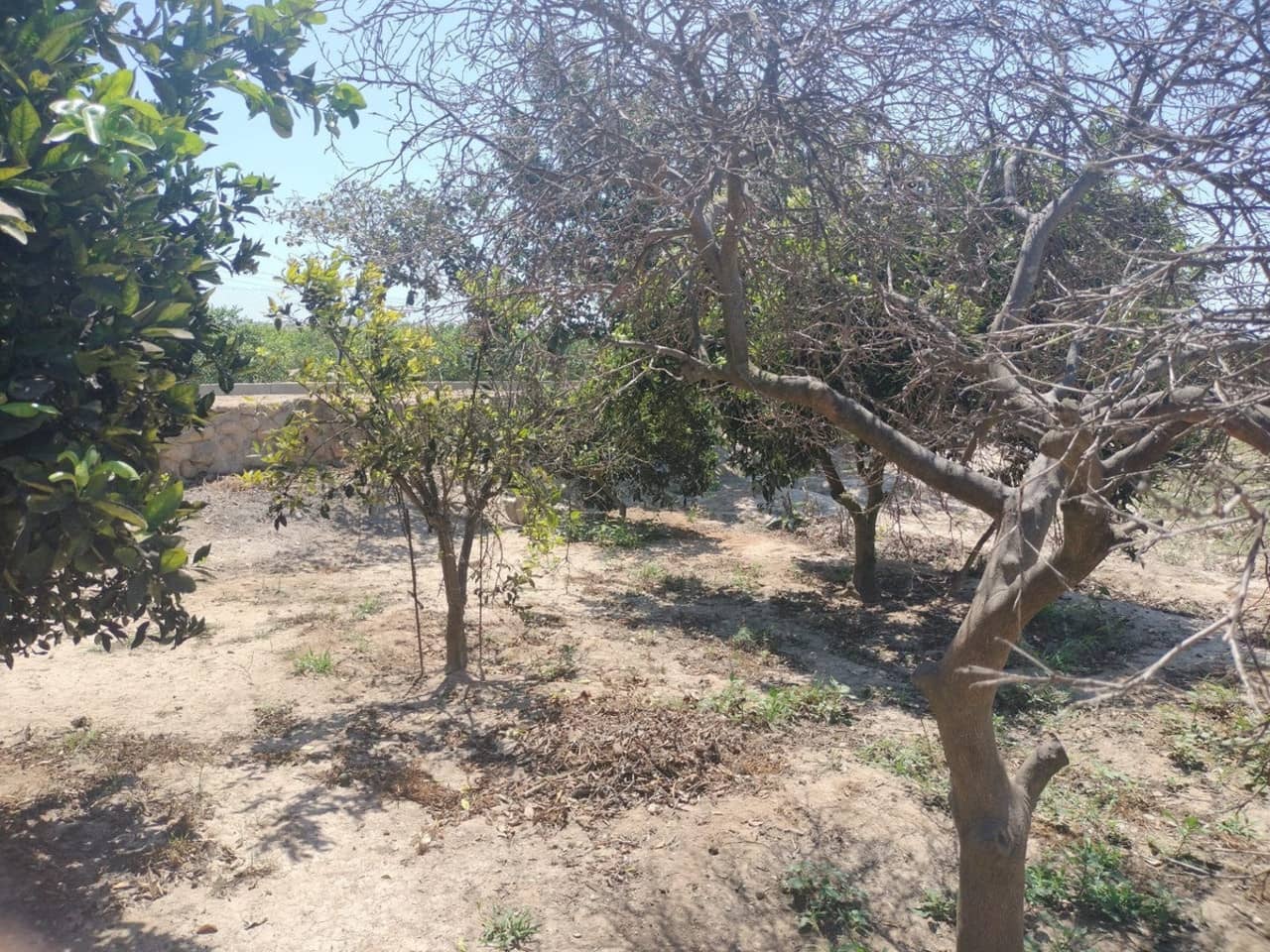 3 bedroom Villa for sale in Daya Vieja - € 220,000 (Ref: 9196115)