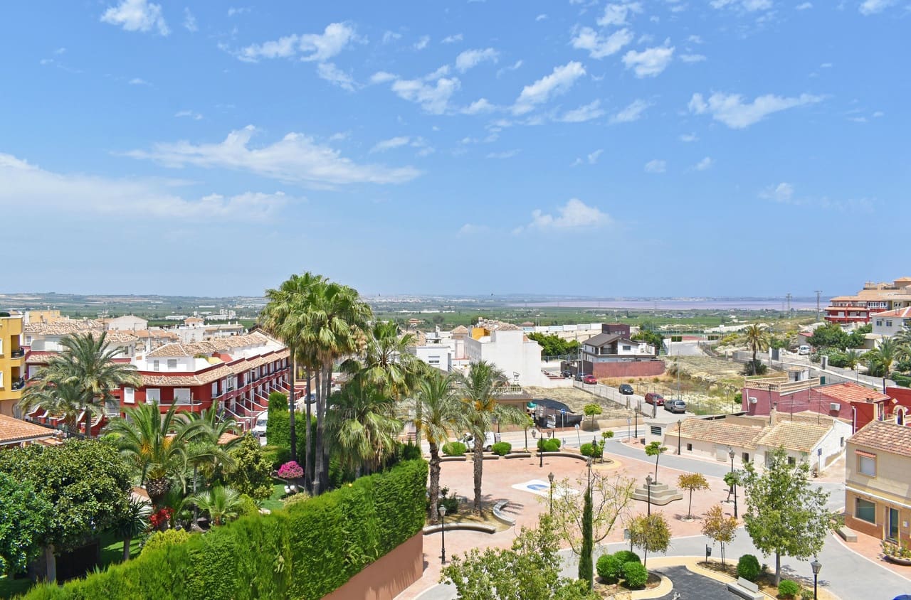 5 bedroom Commercial for sale in San Miguel de Salinas - € 299,000 (Ref: 9335414)