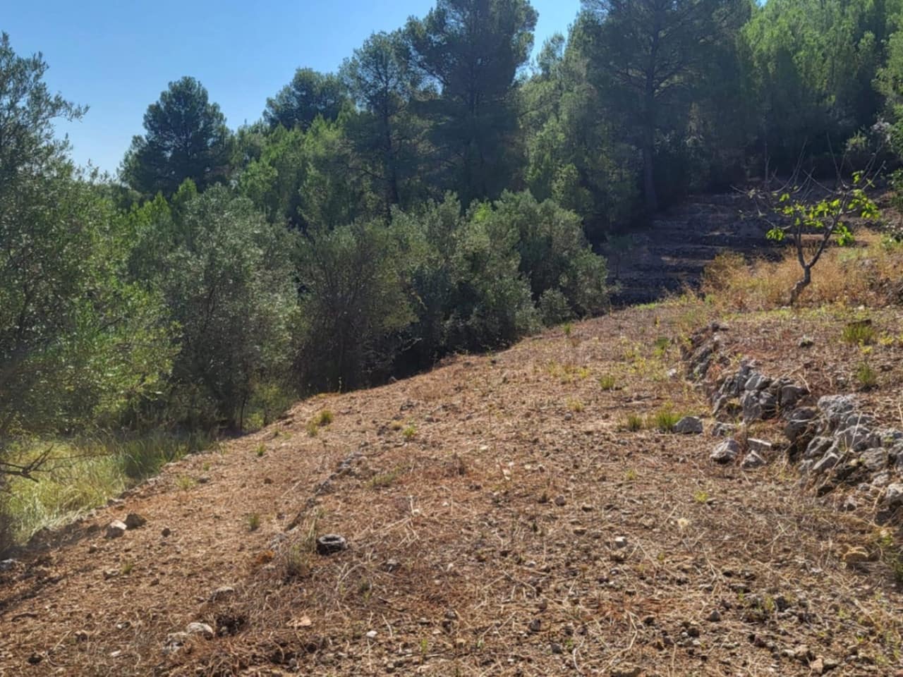 Area Edificabile in vendita in Parcent - 157.500 € (Rif: 9341506)