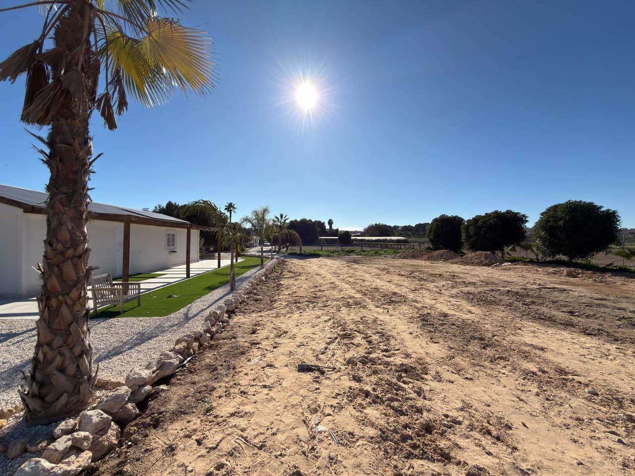 Solar/Parcela en Algorfa en venta - 229.000 € (Ref: 9500338)