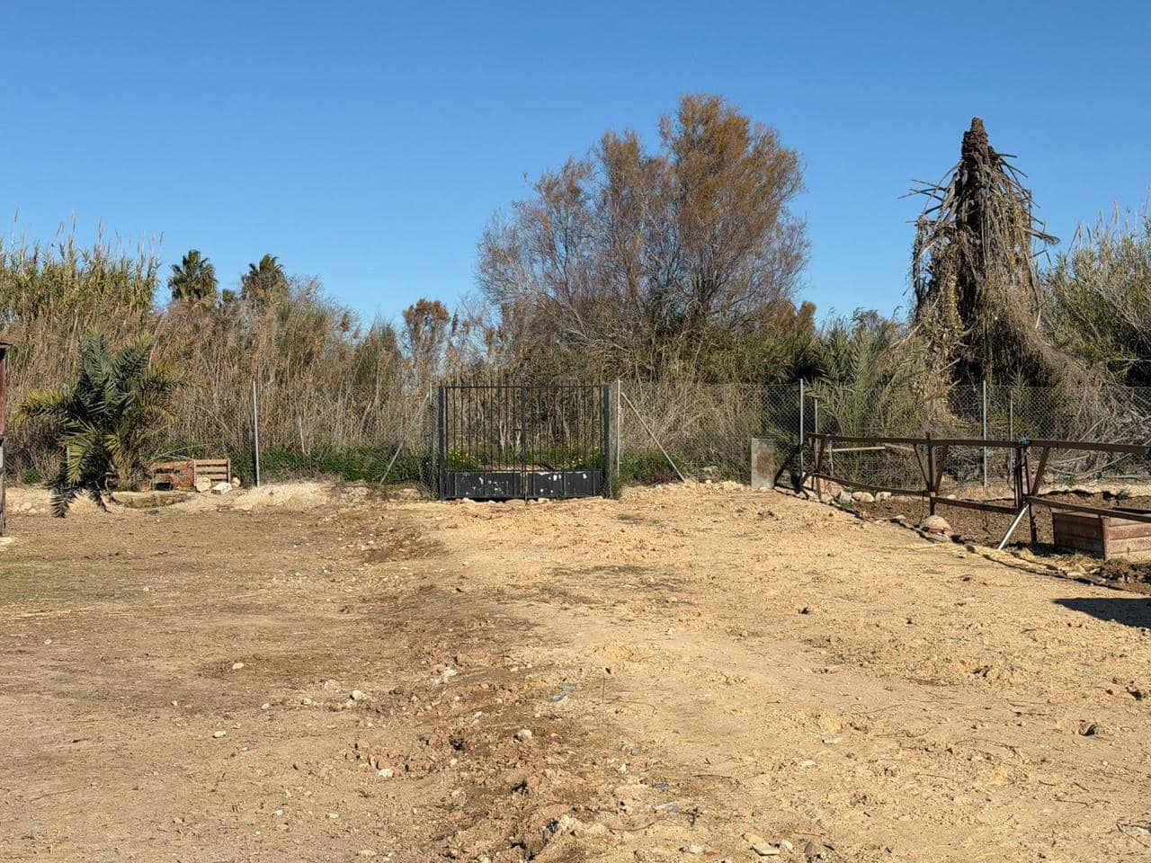 Solar/Parcela en Algorfa en venta - 229.000 € (Ref: 9500338)