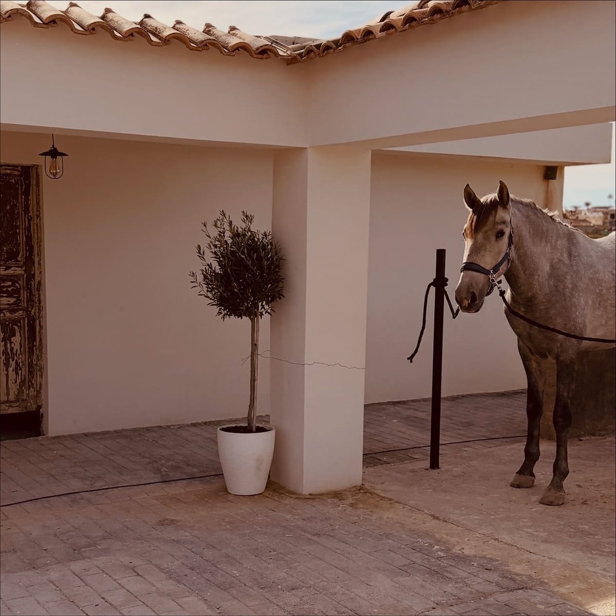 2 soverom Finca/Herregård til salgs i Algorfa - € 229 000 (Ref: 9502916)