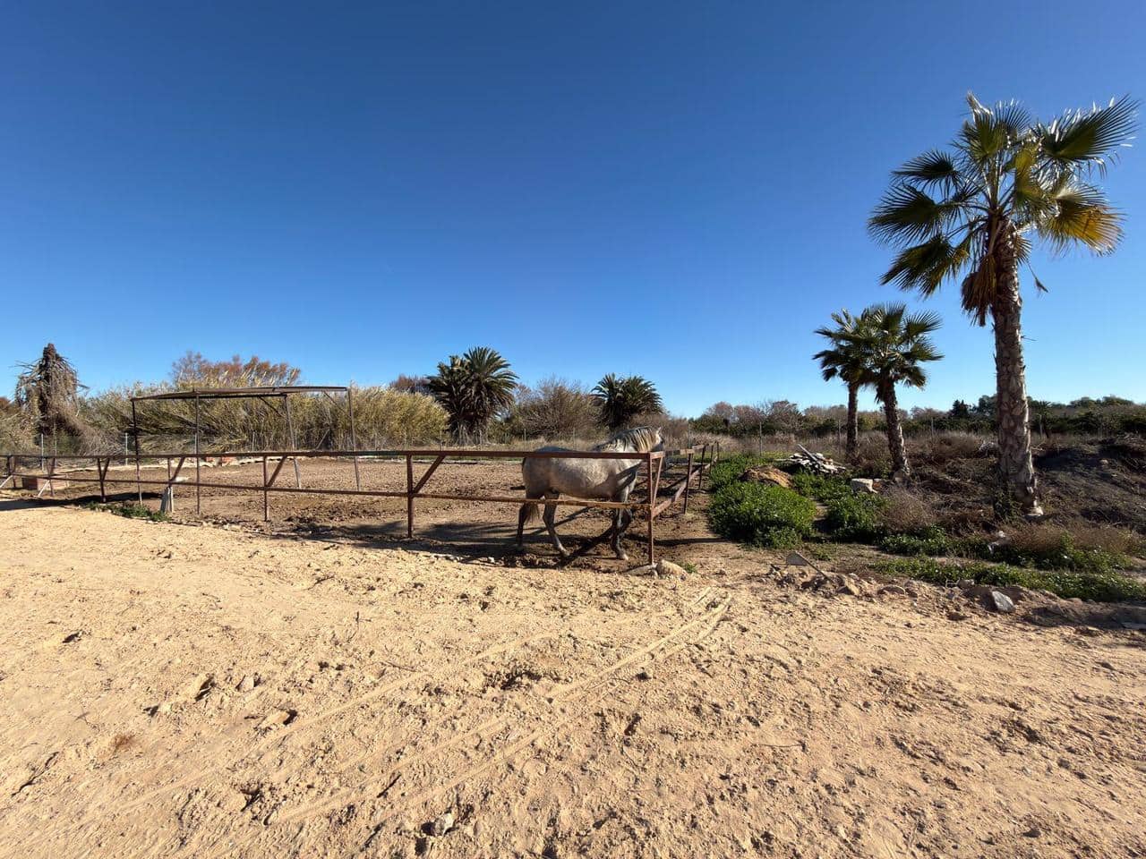 2 soverom Finca/Herregård til salgs i Algorfa - € 229 000 (Ref: 9502917)