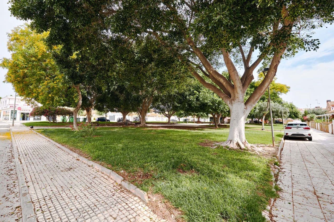 5 makuuhuone Omakotitalo myytävänä paikassa Pilar de la Horadada - 218 000 € (Ref: 9578054)