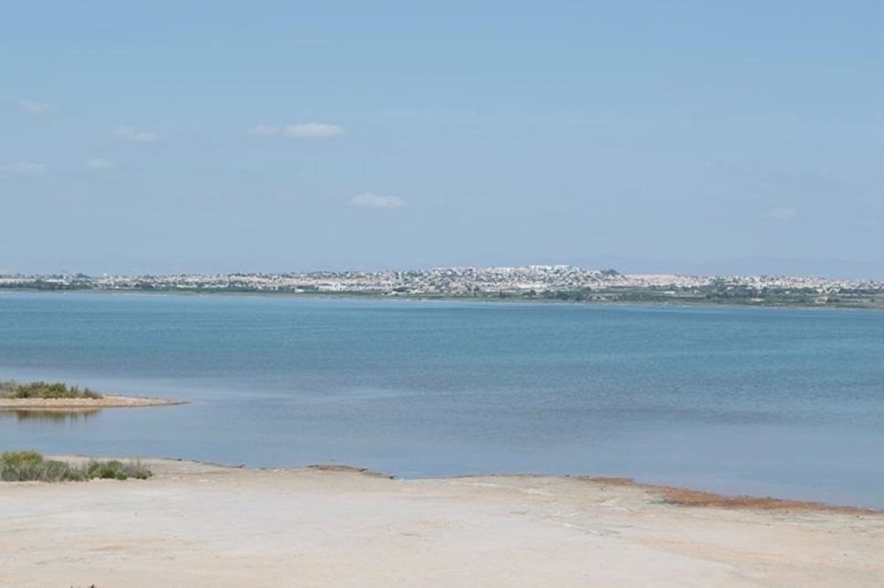 2 soverom Leilighet til salgs i La Mata - € 170 000 (Ref: 9578102)