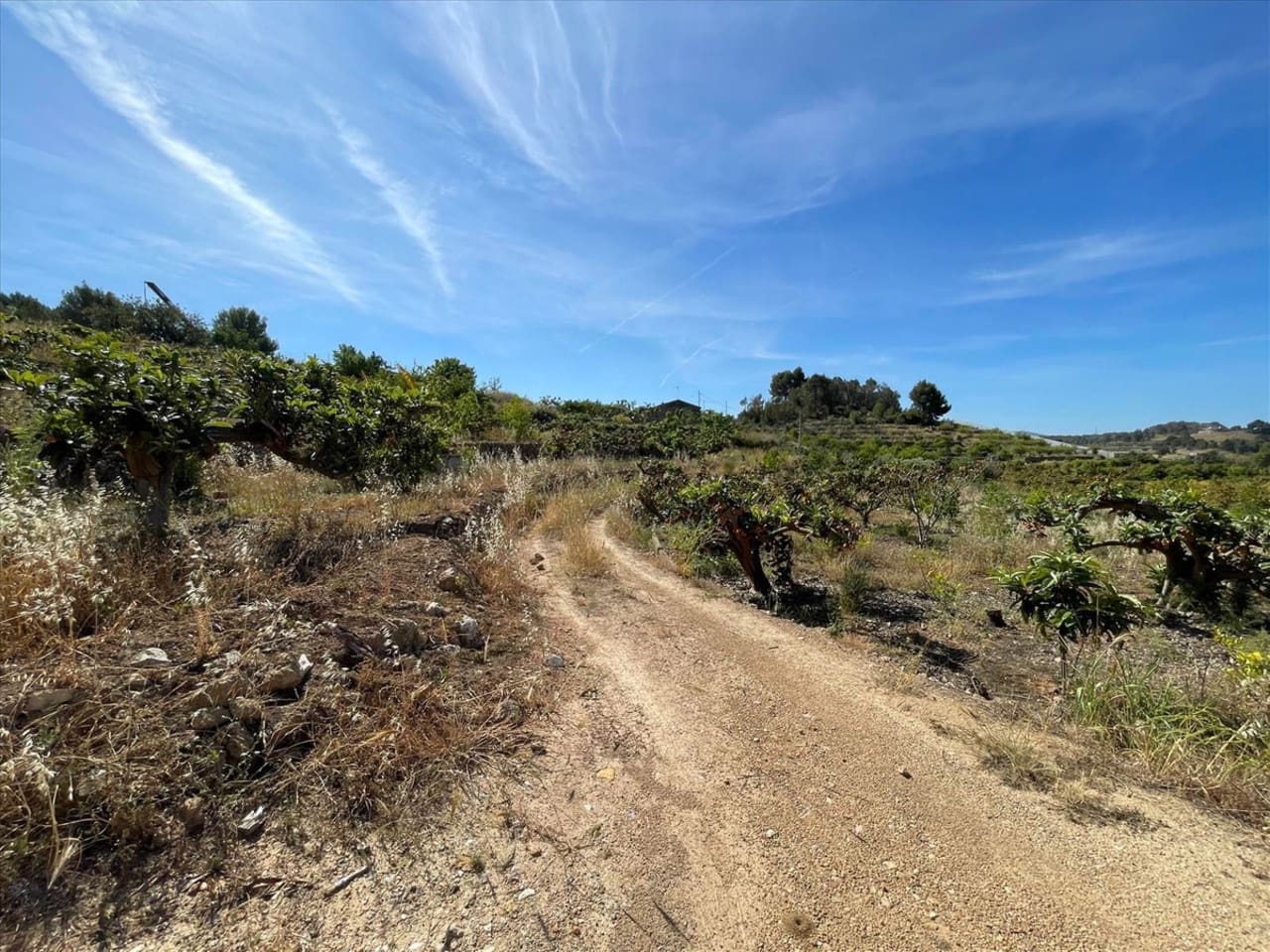 Tomt till salu i Callosa d'En Sarria - 157 000 € (Ref: 9578147)