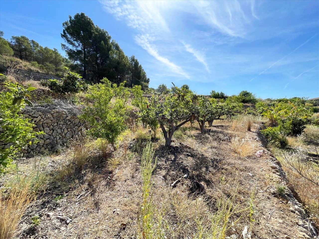 Tomt till salu i Callosa d'En Sarria - 157 000 € (Ref: 9578147)