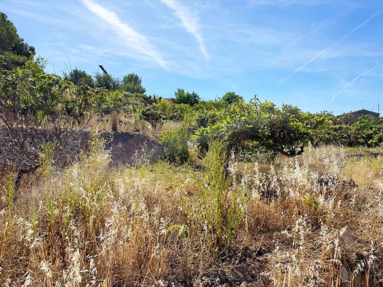 Tomt till salu i Callosa d'En Sarria - 157 000 € (Ref: 9578147)