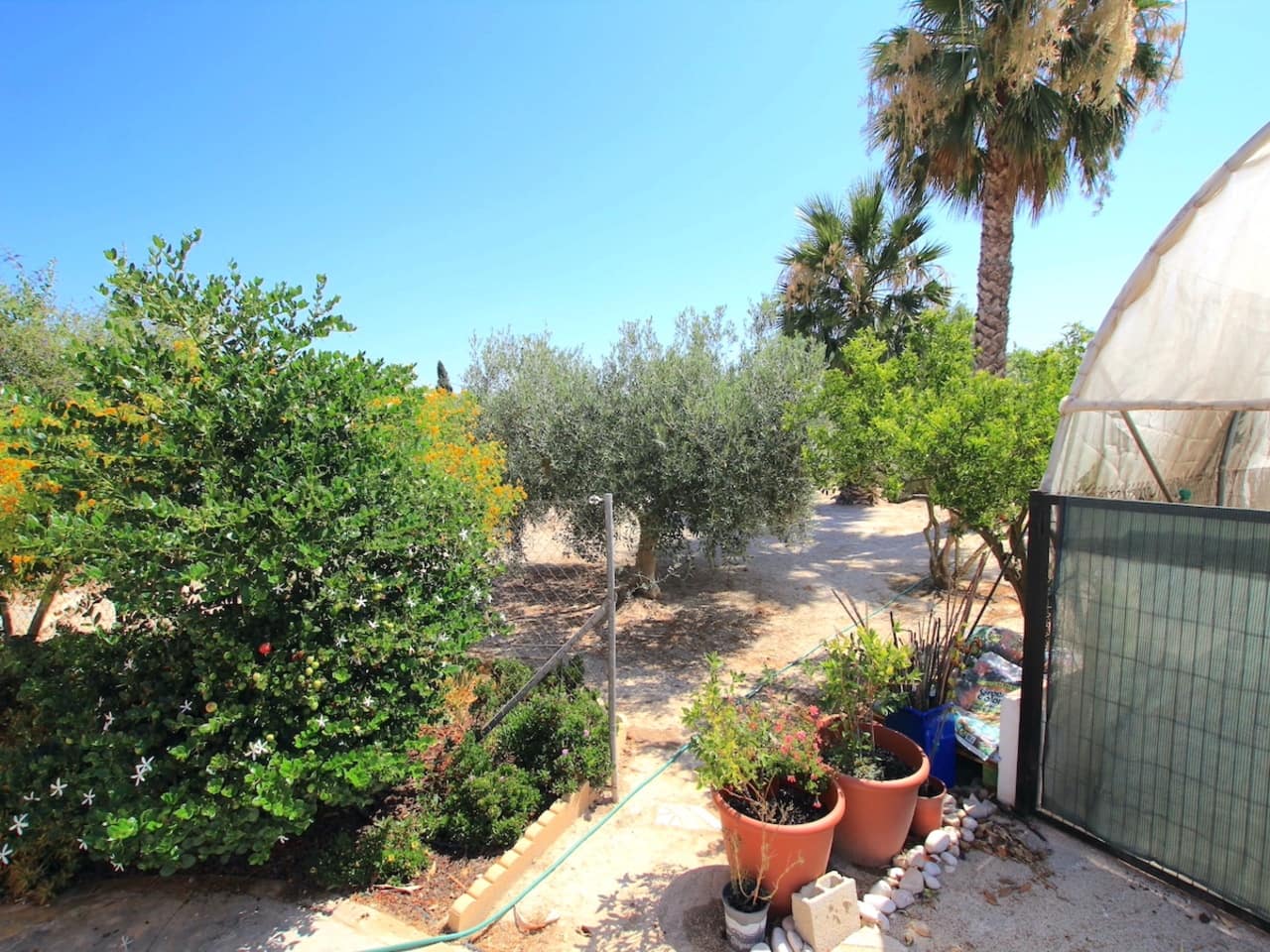 3 slaapkamer Finca/Landhuis te koop in Daya Vieja met zwembad - € 415.000 (Ref: 9808373)