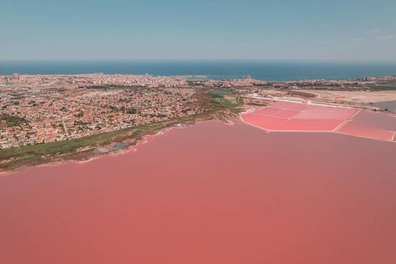 2 soverom Leilighet til salgs i Torrevieja med svømmebasseng - € 259 000 (Ref: 9808476)