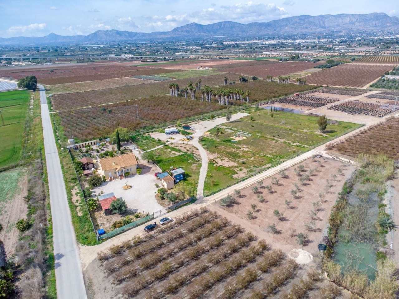 5 sovrum Finca/Hus på landet till salu i Elche / Elx med pool - 750 000 € (Ref: 9808552)