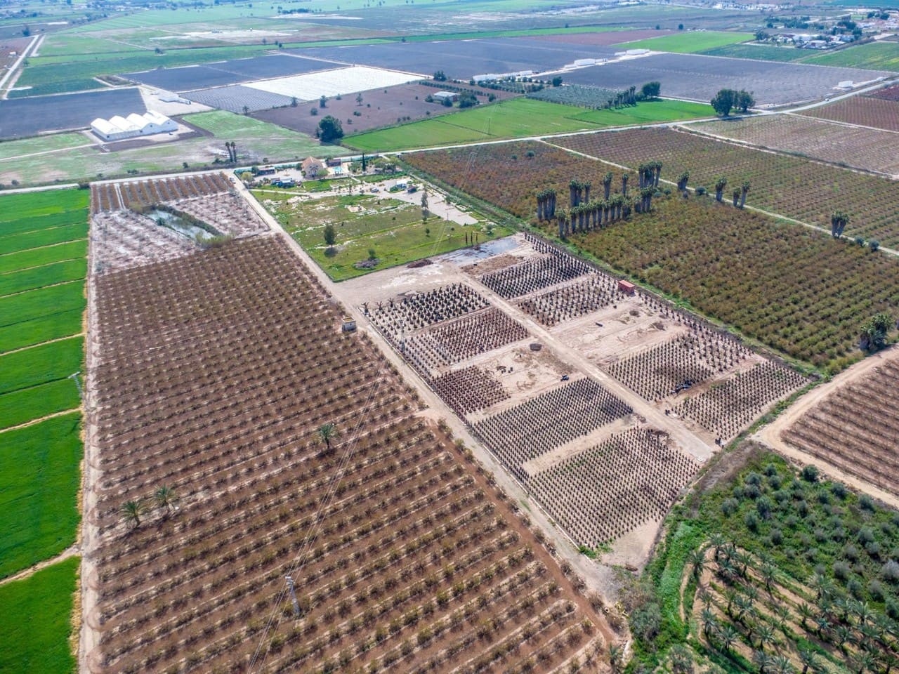 5 sovrum Finca/Hus på landet till salu i Elche / Elx med pool - 750 000 € (Ref: 9808552)