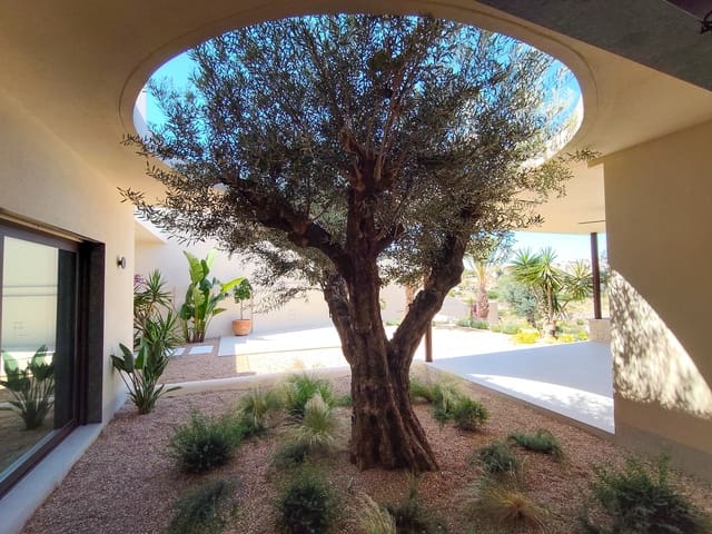 4 quarto Moradia para venda em La Marina, Elche / Elx com piscina - 1 443 750 € (Ref: 9909029)