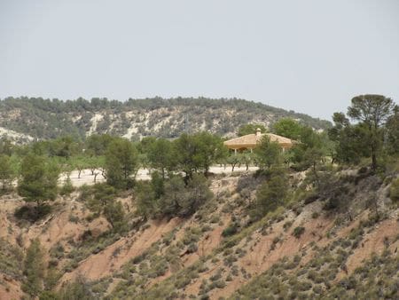 Solar/Parcela en Mula en venta - 40.000 € (Ref: 9971452)