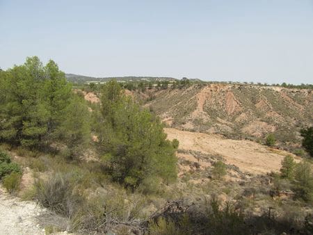 Solar/Parcela en Mula en venta - 40.000 € (Ref: 9971452)