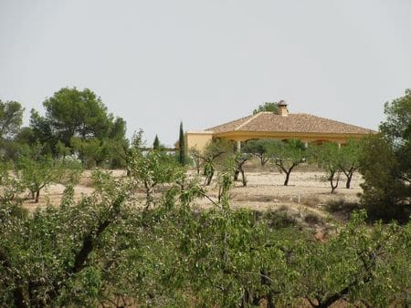 Solar/Parcela en Mula en venta - 40.000 € (Ref: 9971452)