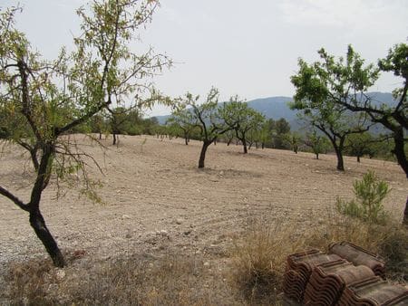 Solar/Parcela en Mula en venta - 40.000 € (Ref: 9971452)