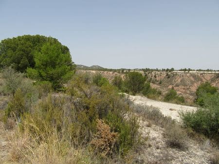 Solar/Parcela en Mula en venta - 40.000 € (Ref: 9971452)