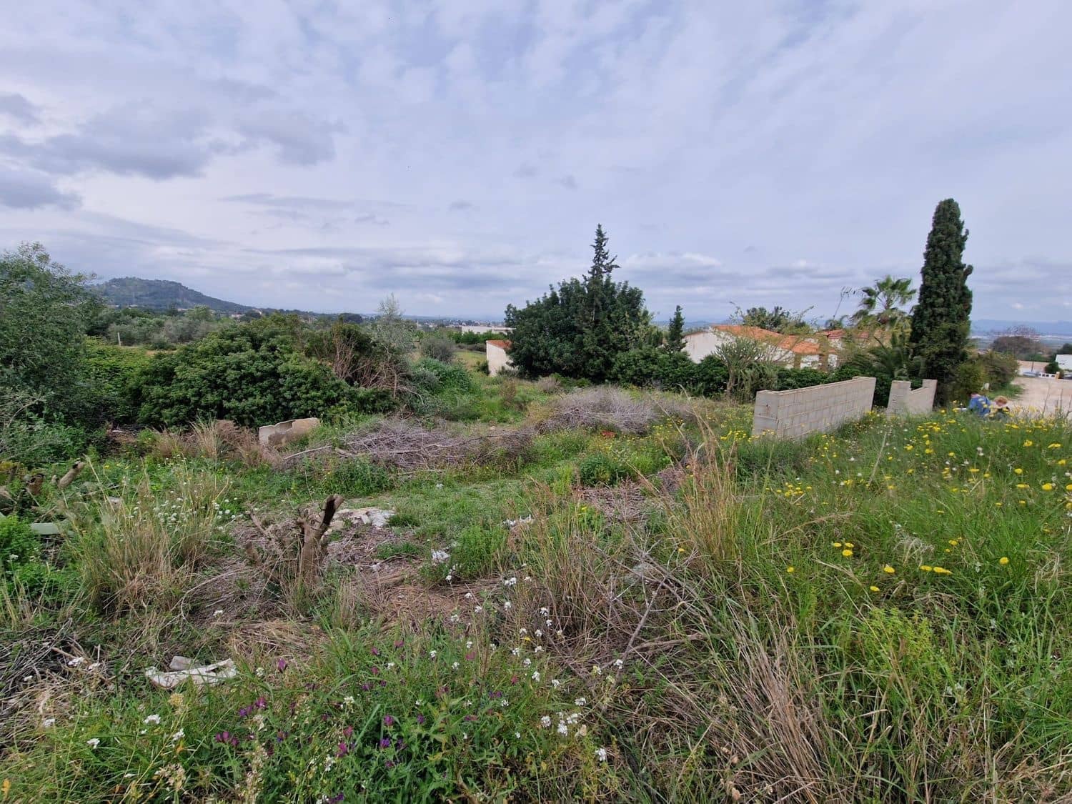 Mark till salu i Riba-roja de Turia - 84 990 € (Ref: 9991751)