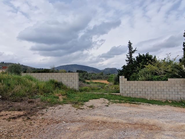 Mark till salu i Riba-roja de Túria - 84 990 € (Ref: 9991751)