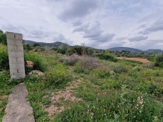 Mark till salu i Riba-roja de Túria - 84 990 € (Ref: 9991751)