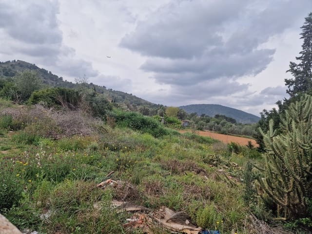 Mark till salu i Riba-roja de Túria - 84 990 € (Ref: 9991751)