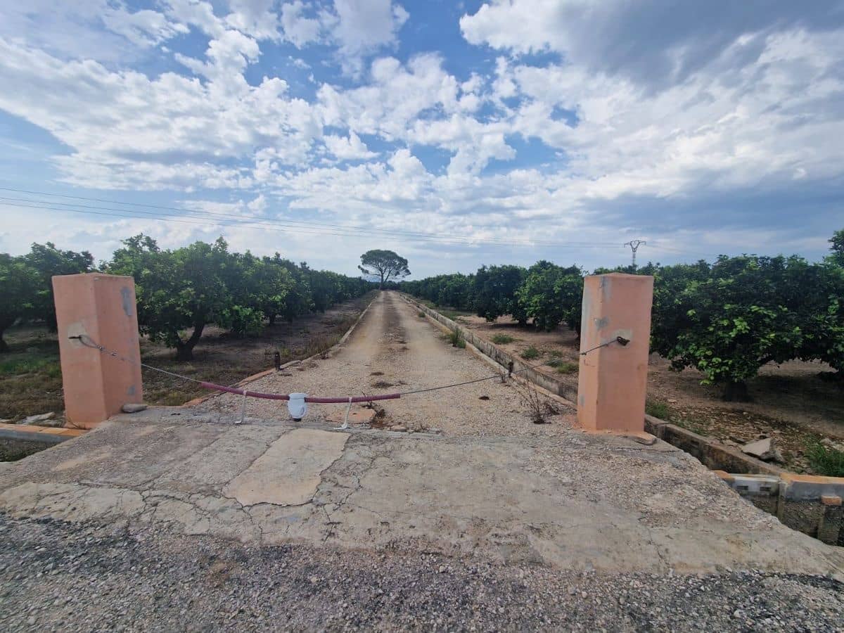 Mark till salu i Carcaixent - 180 000 € (Ref: 9991758)