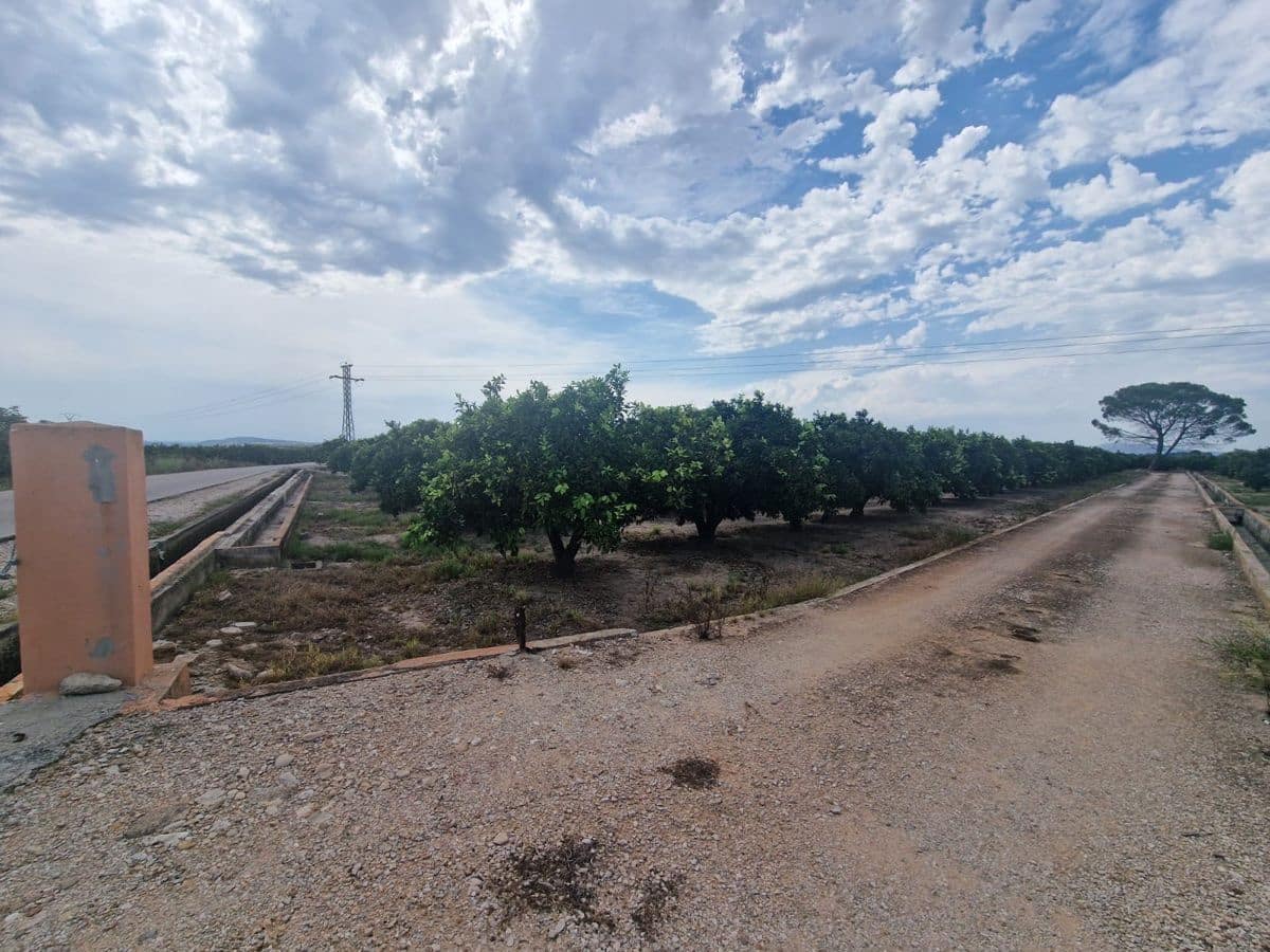 Mark till salu i Carcaixent - 180 000 € (Ref: 9991758)