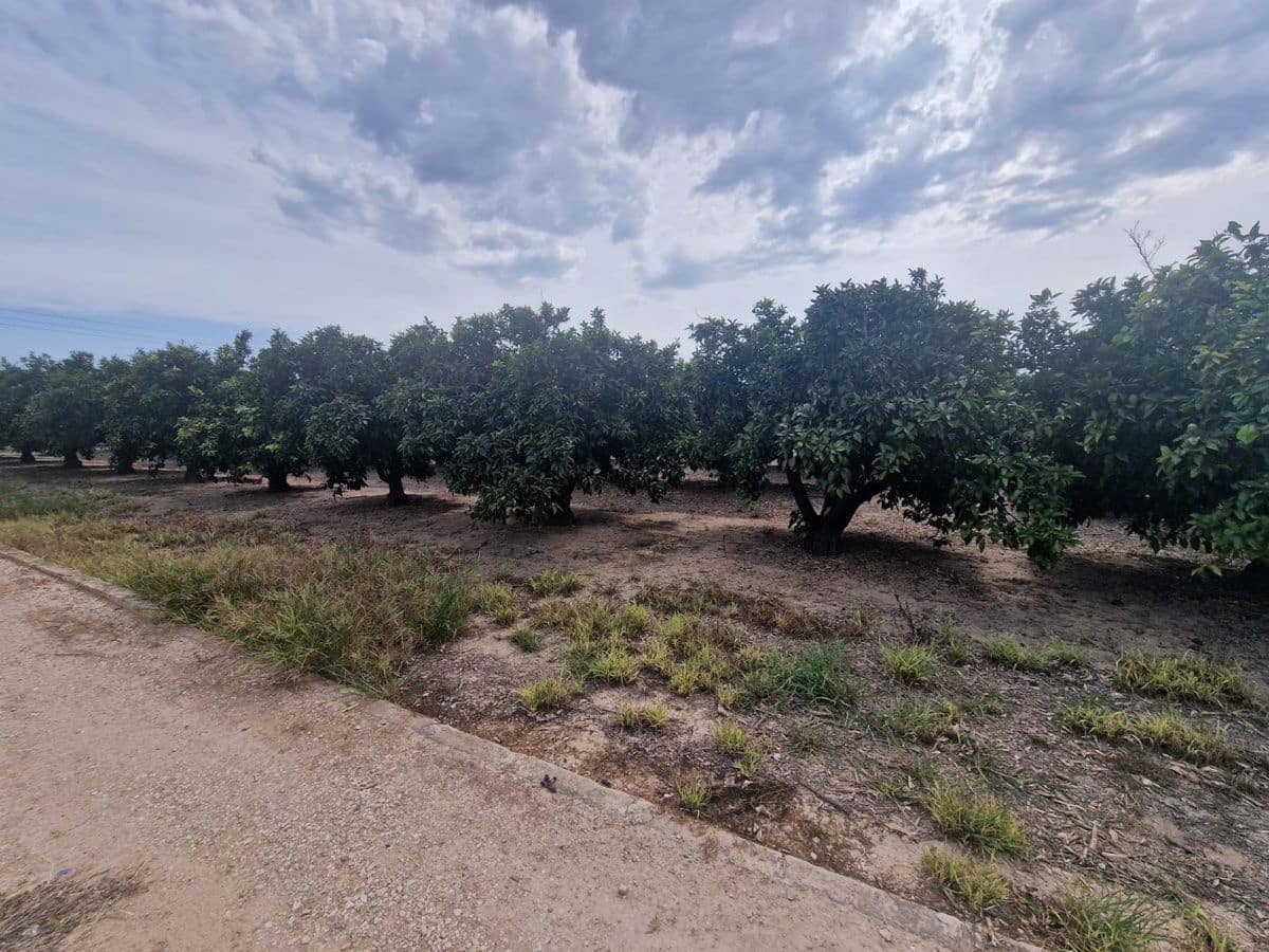 Mark till salu i Carcaixent - 180 000 € (Ref: 9991758)