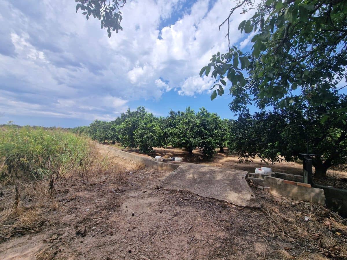 Mark till salu i Carcaixent - 180 000 € (Ref: 9991758)