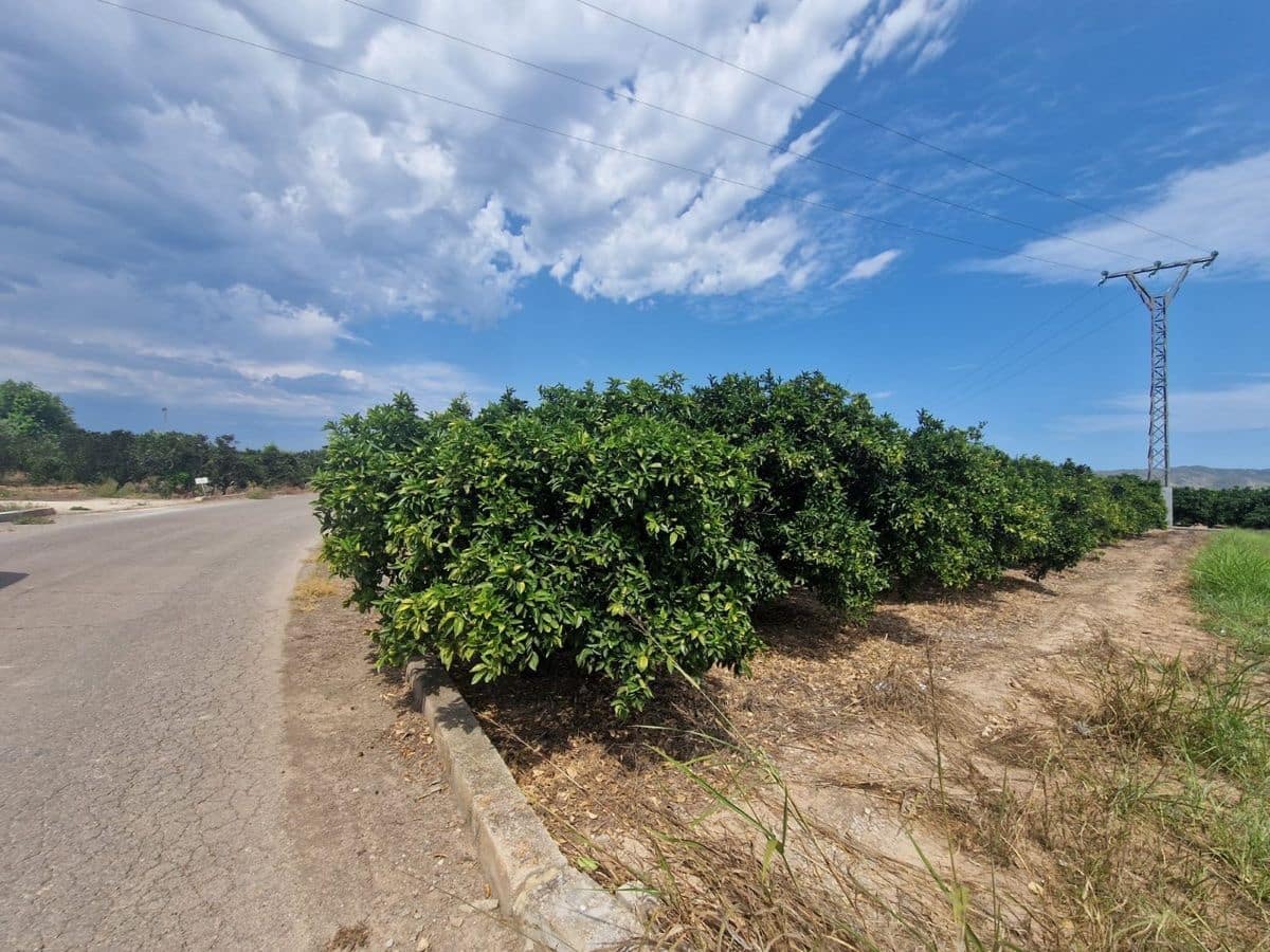 Mark till salu i Carcaixent - 180 000 € (Ref: 9991758)