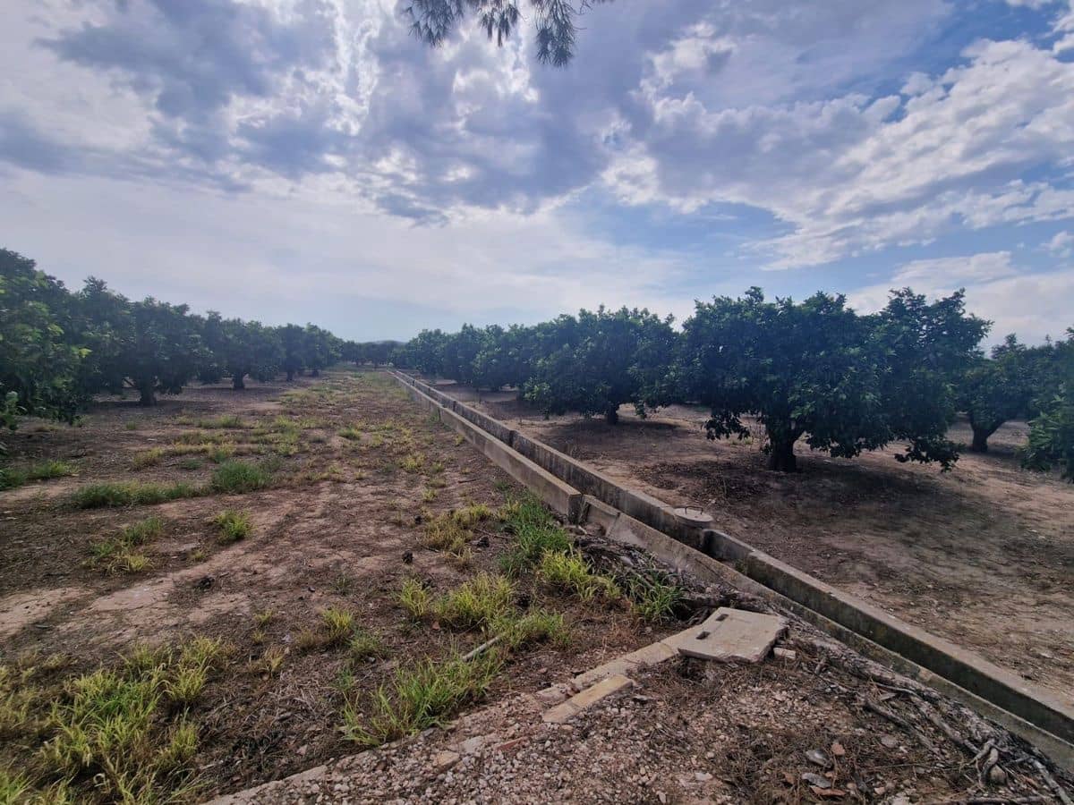 Mark till salu i Carcaixent - 180 000 € (Ref: 9991758)