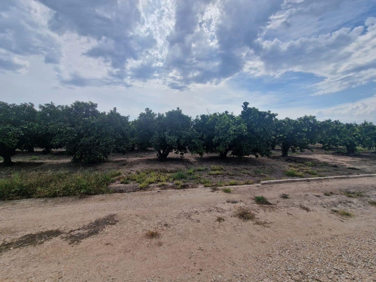 Mark till salu i Carcaixent - 180 000 € (Ref: 9991758)