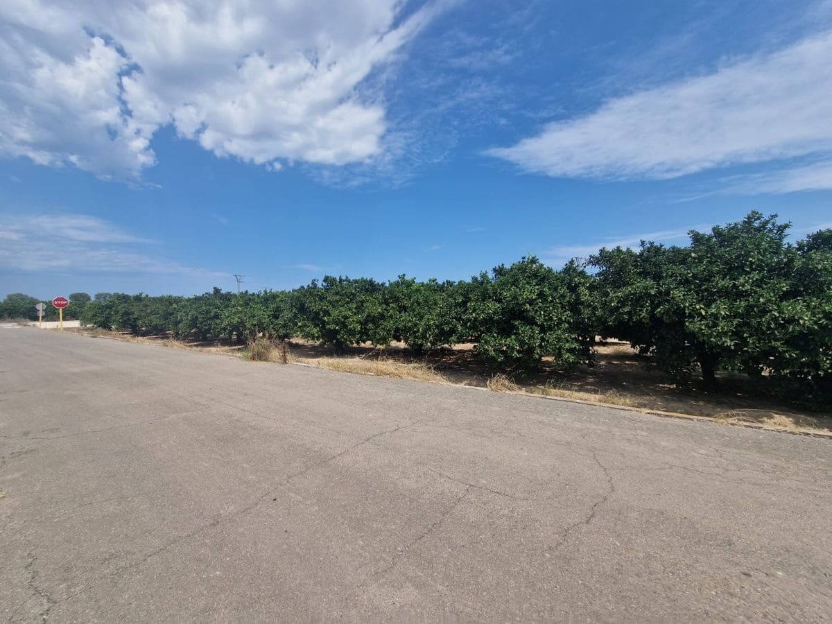 Mark till salu i Carcaixent - 180 000 € (Ref: 9991758)