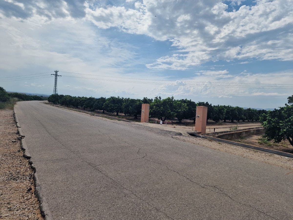 Mark till salu i Carcaixent - 180 000 € (Ref: 9991758)