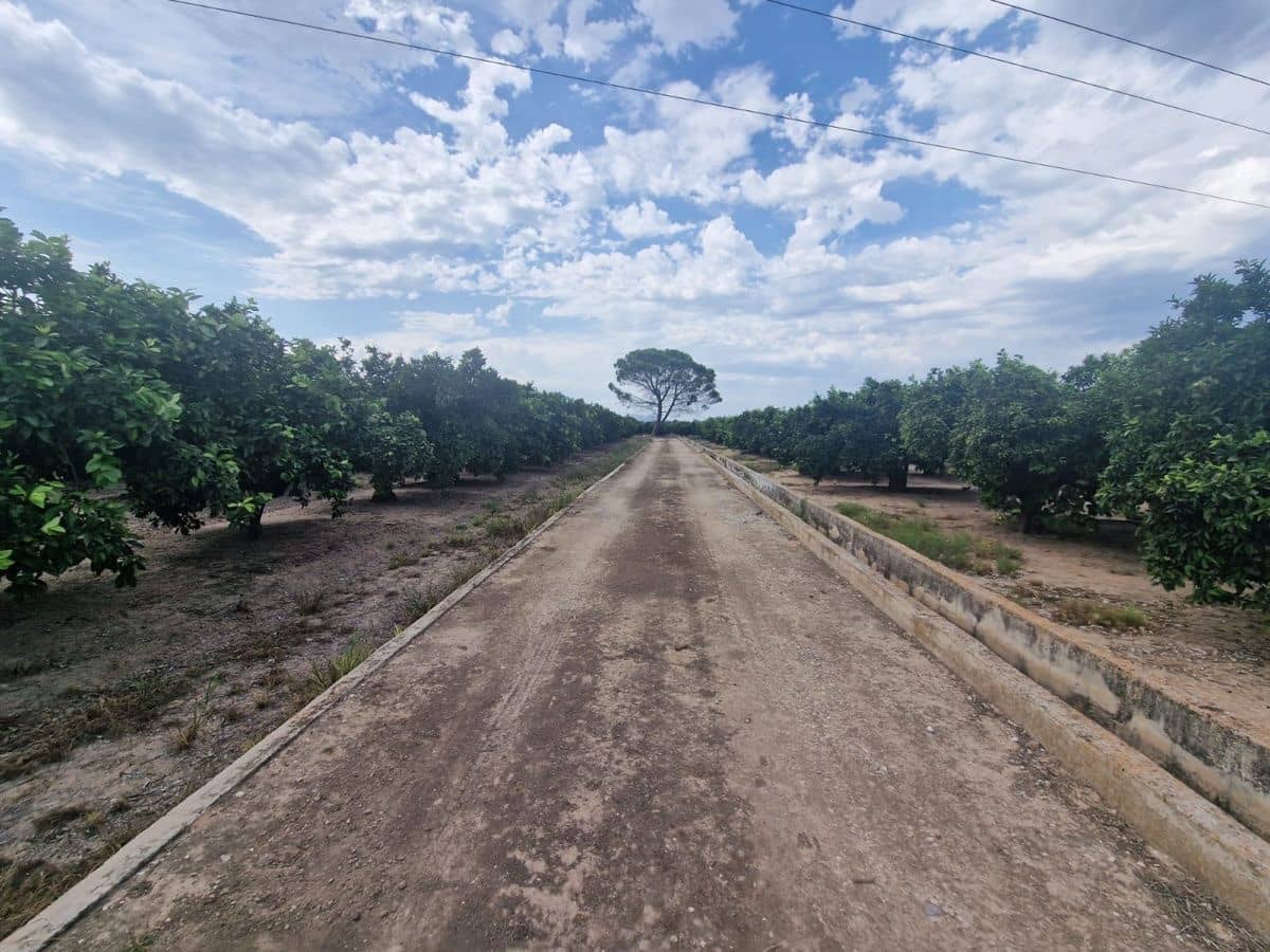 Mark till salu i Carcaixent - 180 000 € (Ref: 9991758)