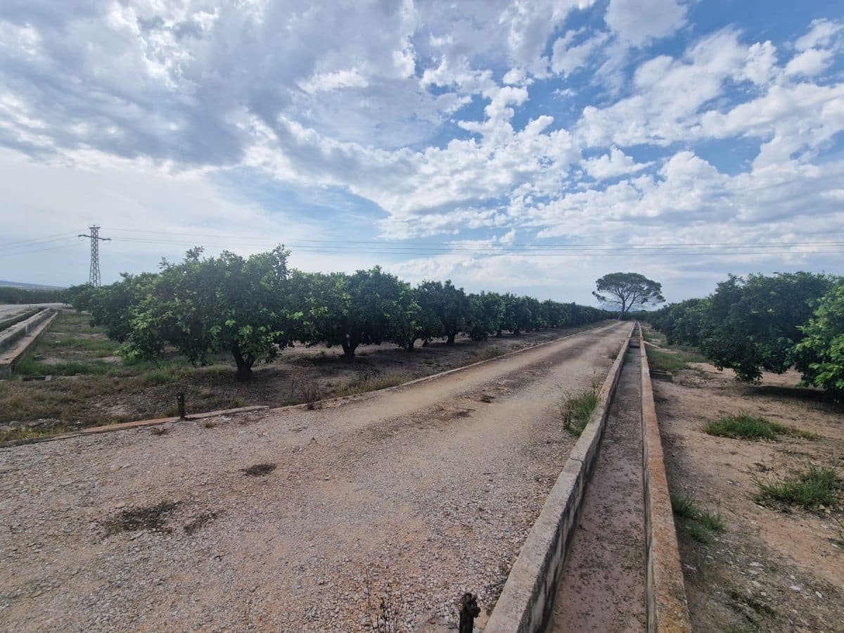 Mark till salu i Carcaixent - 180 000 € (Ref: 9991758)