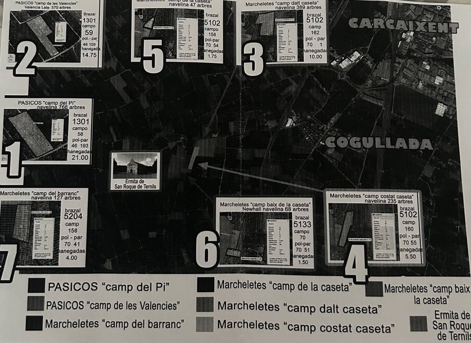 Mark till salu i Carcaixent - 180 000 € (Ref: 9991758)