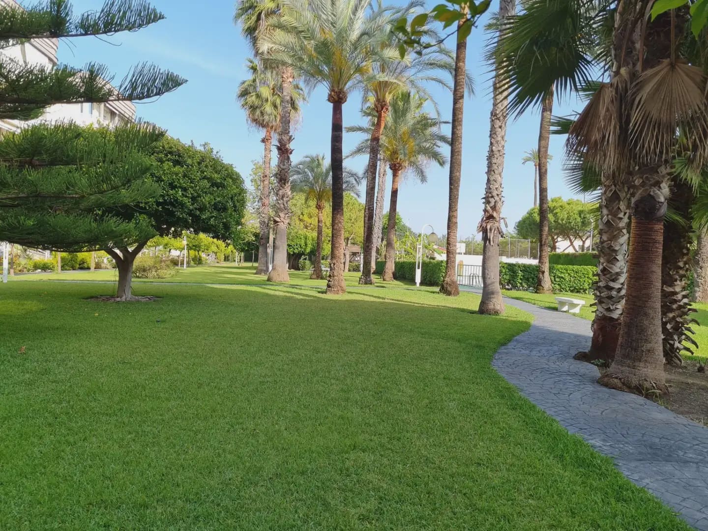3 bedroom Flat for sale in Gandia with pool - € 369,000 (Ref: 10023030)
