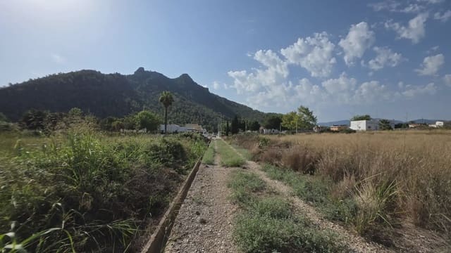 Mark till salu i Gandia - 69 900 € (Ref: 10029900)