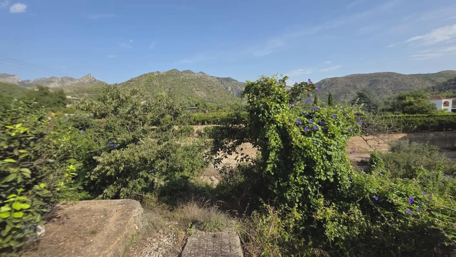 Undeveloped Land for sale in Gandia - € 69,900 (Ref: 10029900)