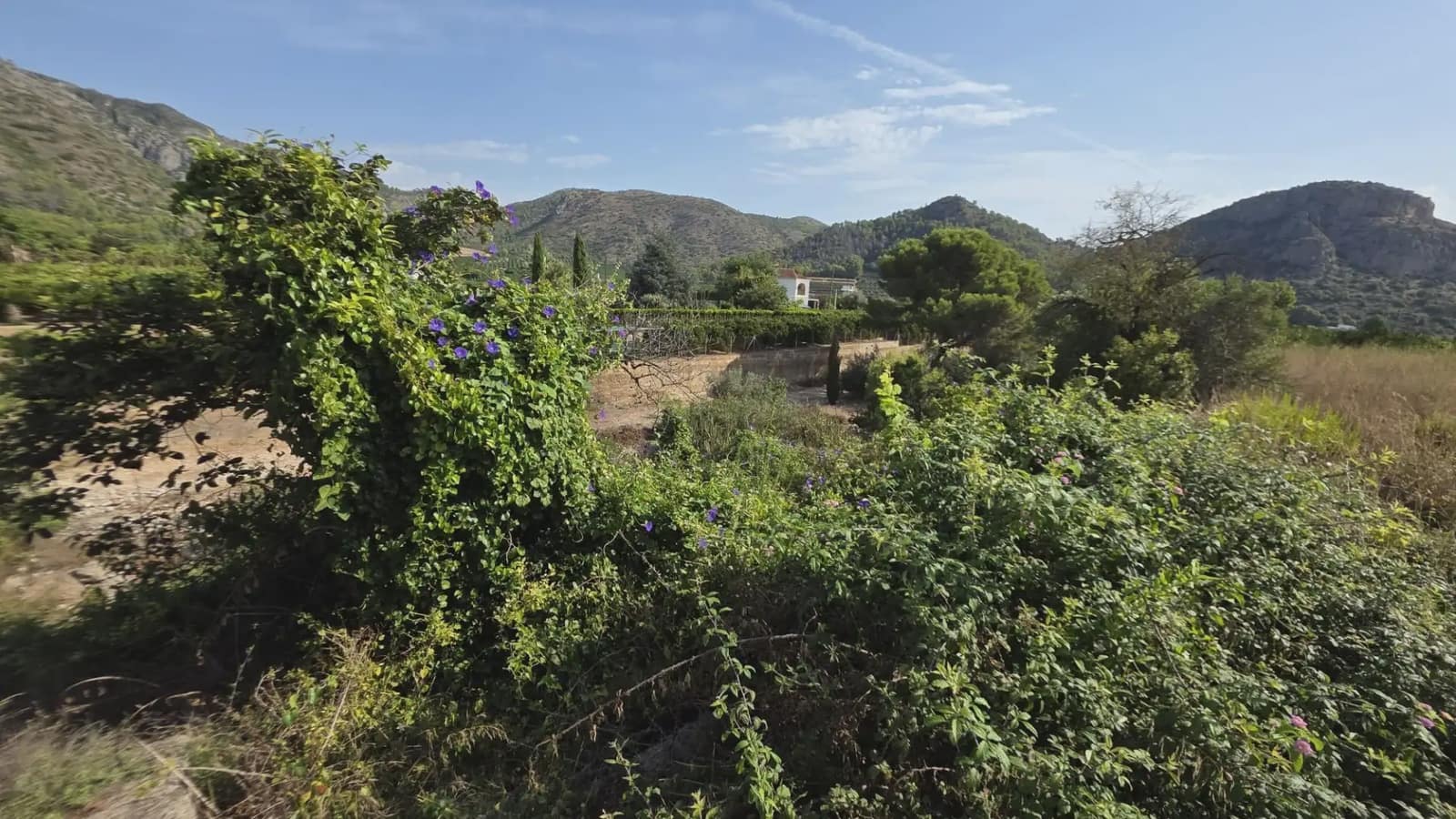 Undeveloped Land for sale in Gandia - € 69,900 (Ref: 10029900)