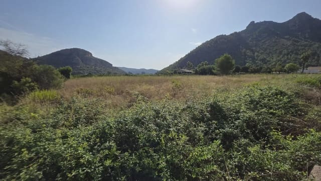 Mark till salu i Gandia - 69 900 € (Ref: 10029900)