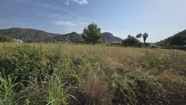 Mark till salu i Gandia - 69 900 € (Ref: 10029900)