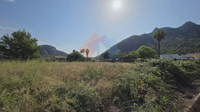 Undeveloped Land for sale in Gandia - € 69,900 (Ref: 10029900)