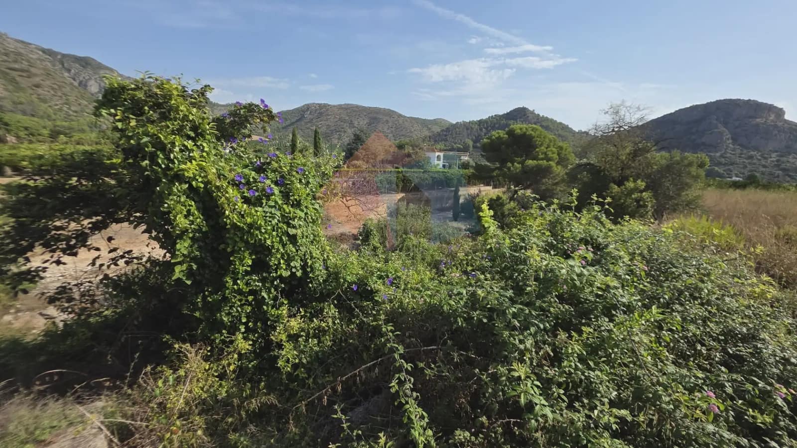 Ubebygd land til salgs i Gandia - € 69 900 (Ref: 10029900)