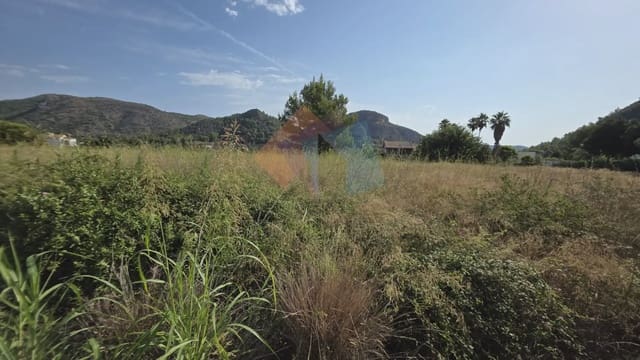 Undeveloped Land for sale in Gandia - € 69,900 (Ref: 10029900)